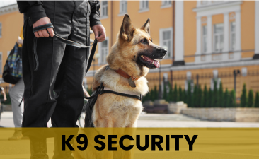 K9 Security